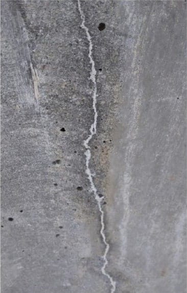 バジリスクにより修復されたひび割れ