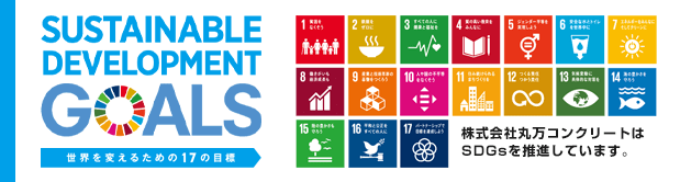 JAPAN SDGs Action Platform